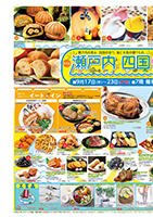 page 1 thumbnail