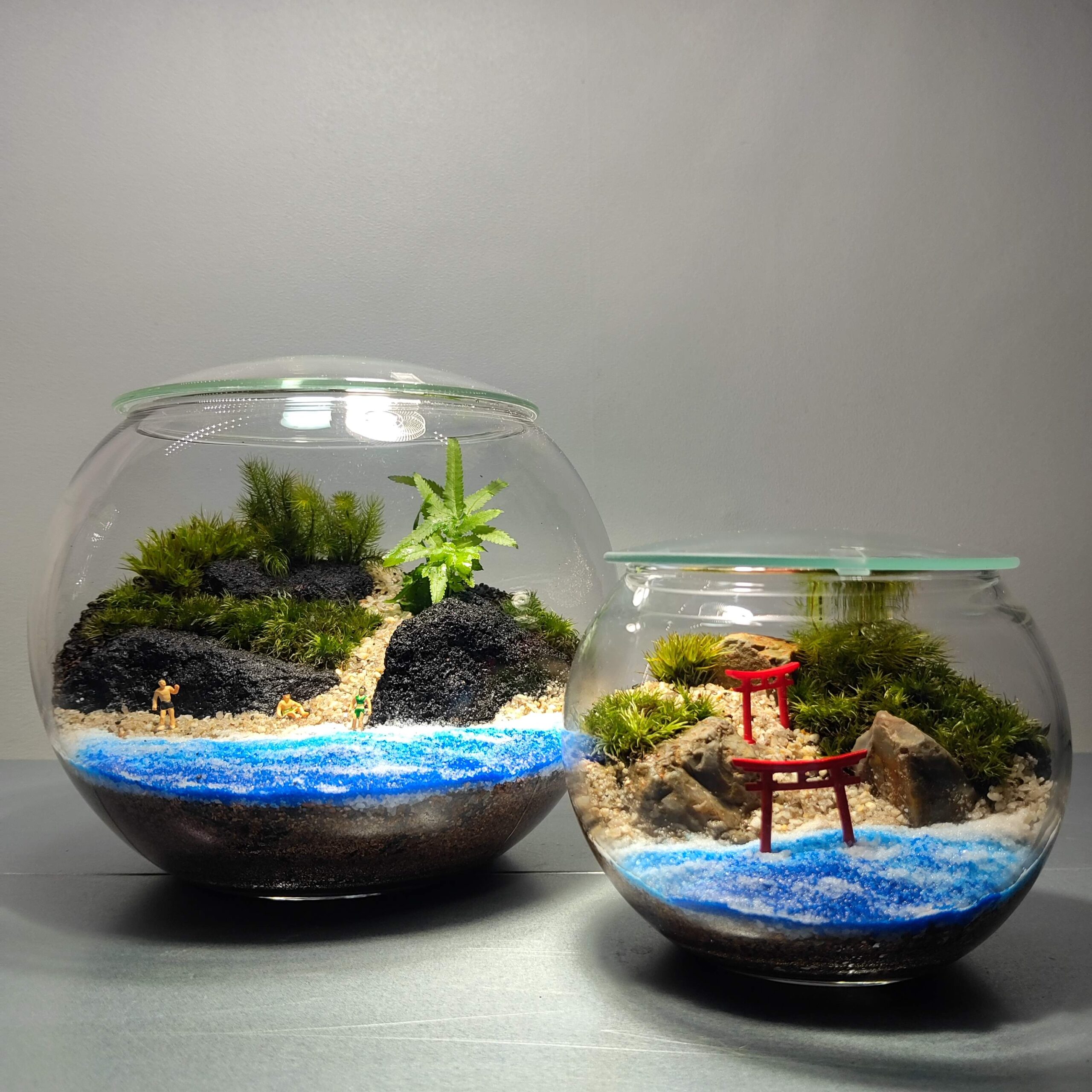 苔 煉瓦 石窯についてます ラピュタ コケリウム テラリウム Make a 