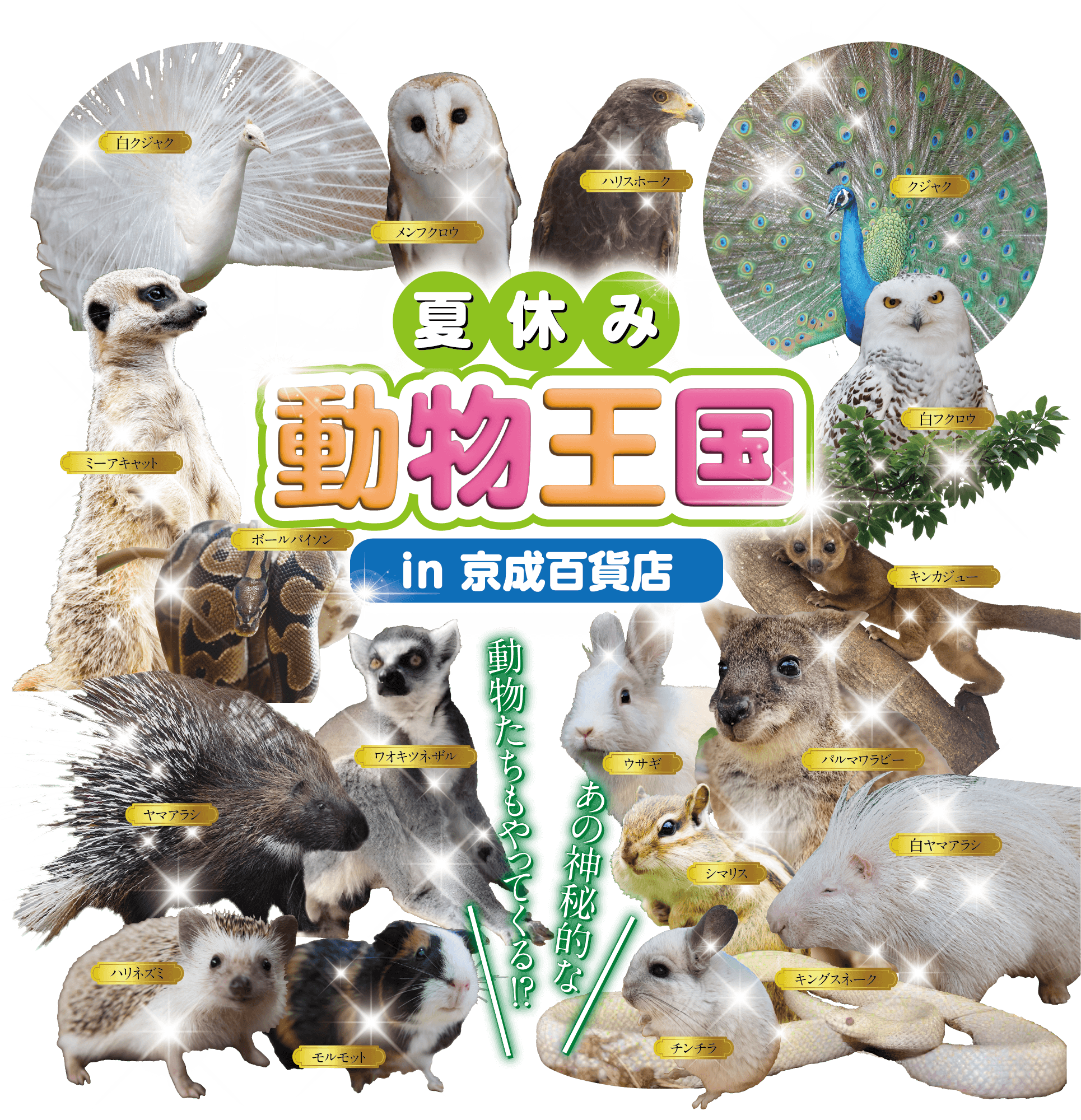 夏休み動物王国in京成百貨店メインビジュアル