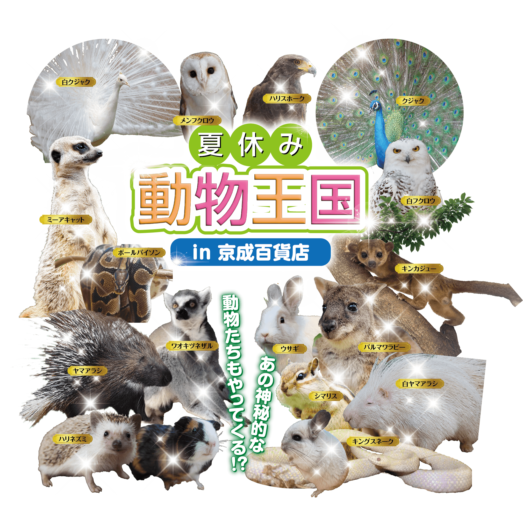 夏休み動物王国in京成百貨店メインビジュアル