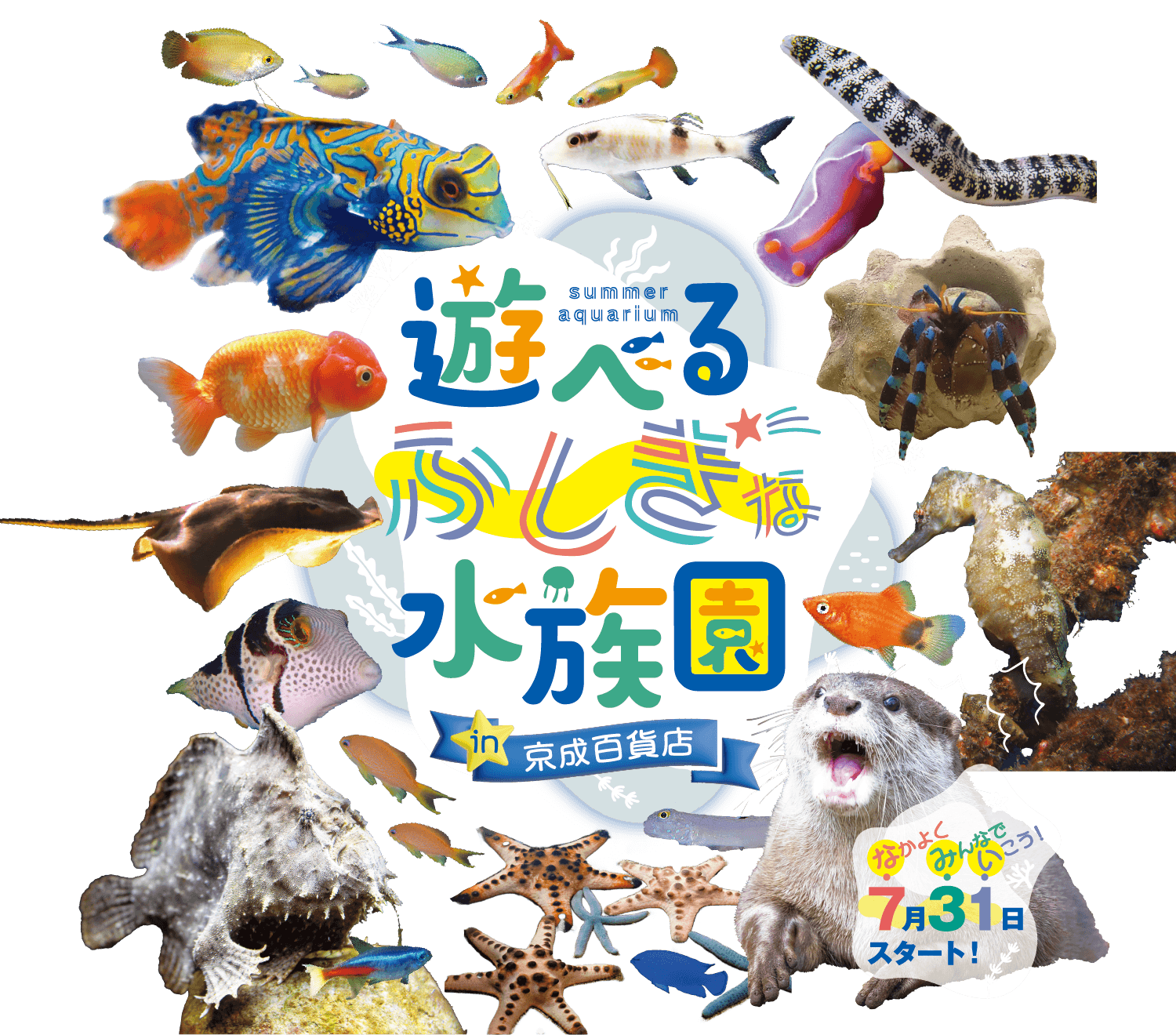 サマーアクアリウム遊べるふしぎな水族園 in 京成百貨店メインビジュアル